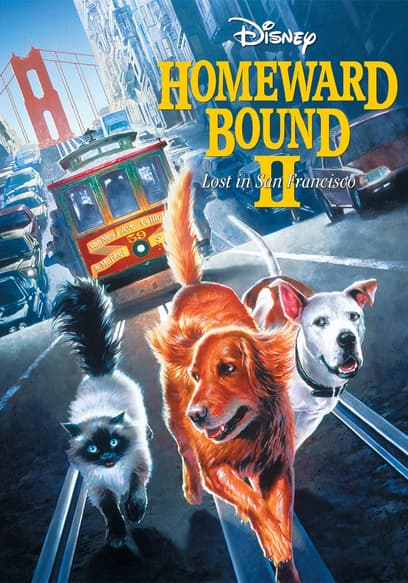 Homeward Bound II: Lost in San Francisco