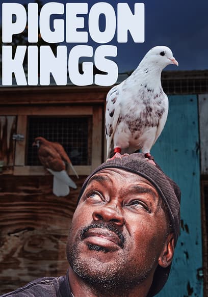 Pigeon Kings