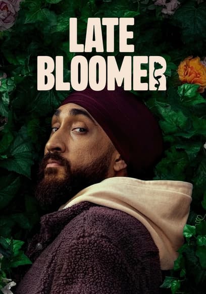 Late Bloomer poster