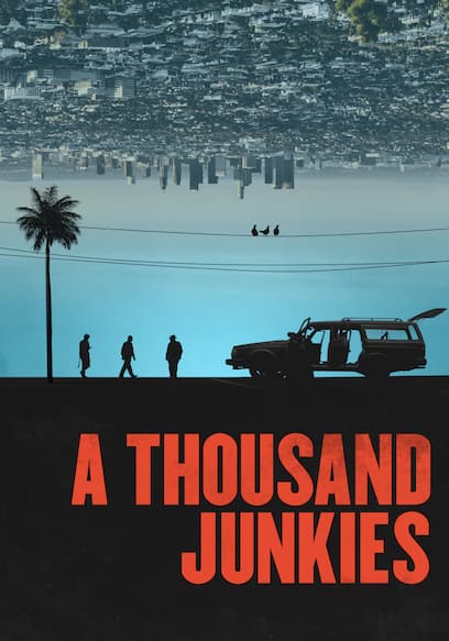 A Thousand Junkies