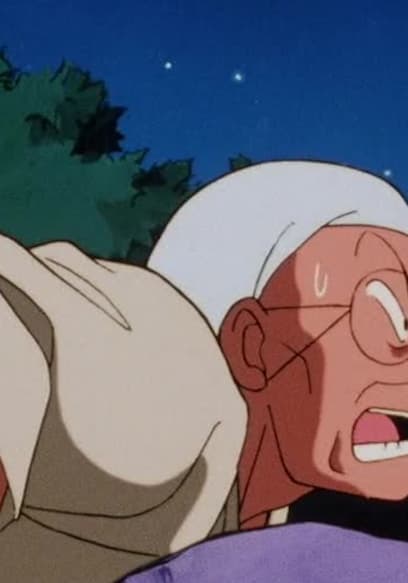 S04:E23 - Genma Takes a Walk poster