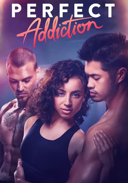 Perfect Addiction poster