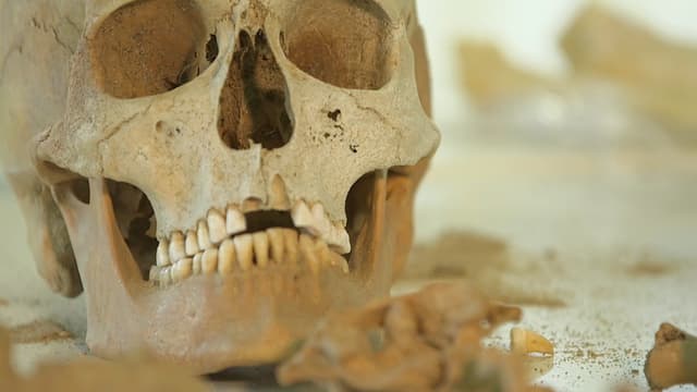 S06:E08 - Un Cadáver en El Cementerio: El Caso De Frederic Butanowicz