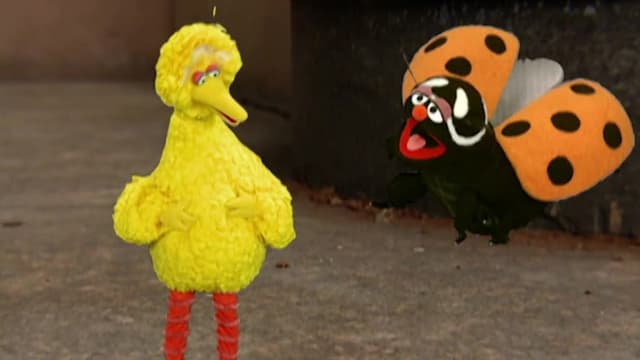 S36:E26 - Adventures of Little Big Bird, Part 2