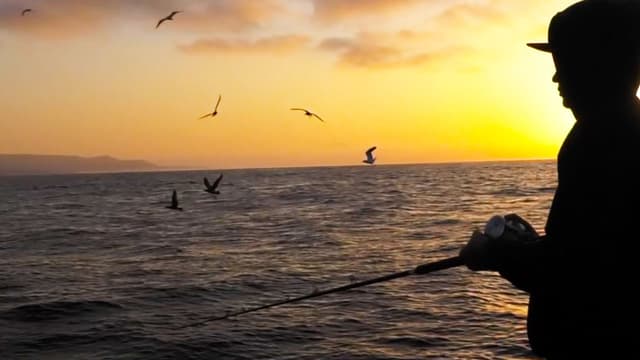 S01:E01 - The Chase for Pacific Bluefin Tuna: San Clemente Island