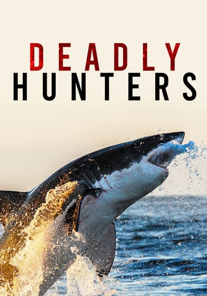 Deadly Hunters