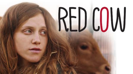 Red Cow 2018