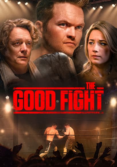 The Good Fight poster
