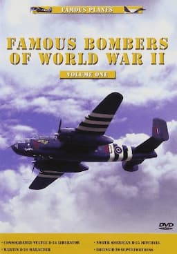 (未使用･未開封品)Famous Bombers of World War II [DVD] Watch Famous Bombers of WWII Streaming Online | Tubi Free TV