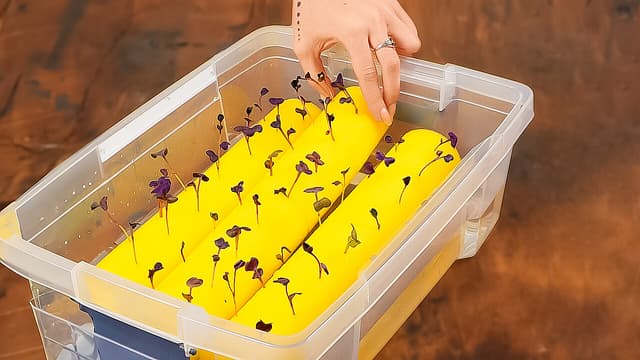 5-Minute Crafts