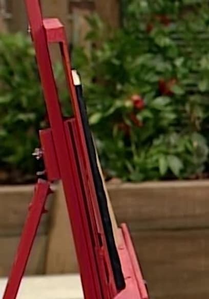 S38:E22 - Chris Teaches Elmo How to Bowl poster