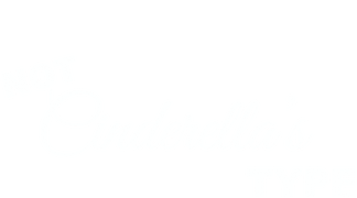 Not Cinderella's Type