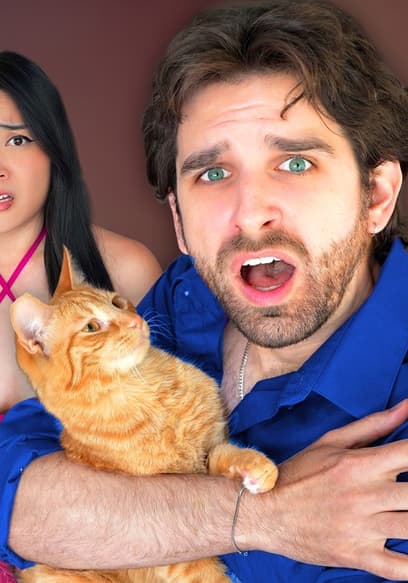 S01:E01 - Suspicious Cat-Sitter poster