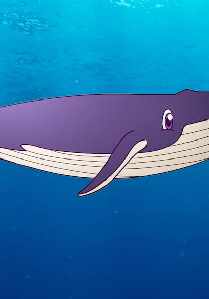 S01:E02 - Whales poster