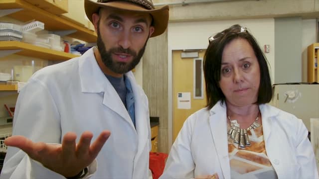 S04:E04 - Bugs for Breakfast