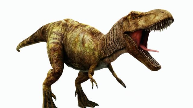 S01:E16 - Iniciativa, orden y esfuerzo