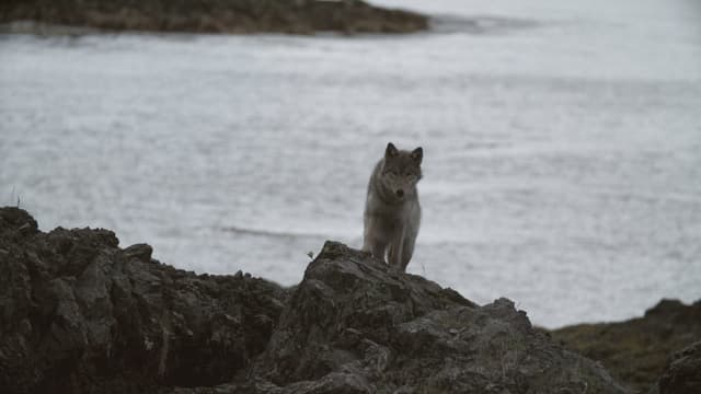 S10:E08 - Infestation