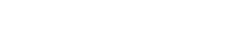 Warriors of Heaven and Earth