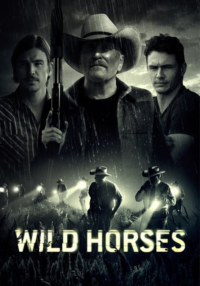Wild Horses