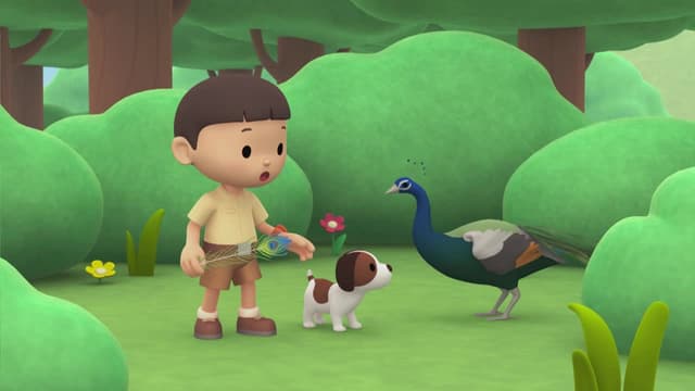 S01:E25 - Indian Peacock