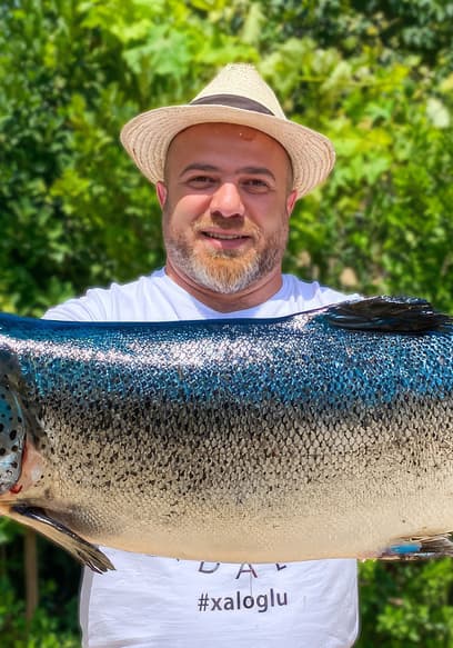 S01:E13 - Giant Atlantic Salmon poster