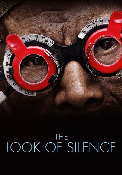 The Look of Silence