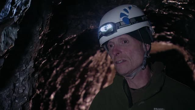 S02:E08 - Brave New McCarthy