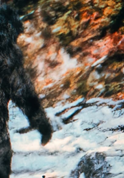 S01:E12 - Bigfoot Proof: 3 Ironclad Reasons the Patterson-Gimlin Film Is Real poster
