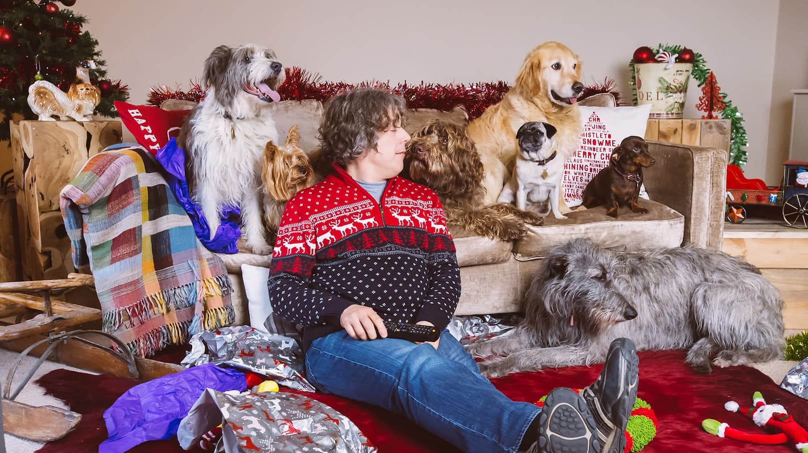 Watch The Dog Rescuers Season 4 Streaming Online | Tubi Free TV