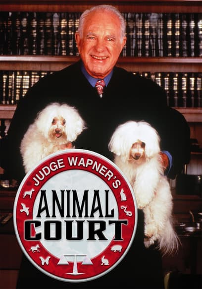 S01:E02 - Cat Attack / Pizza Man, Dog Bite