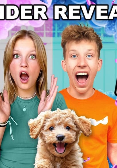 S01:E19 - Puppy Gender Reveal! poster