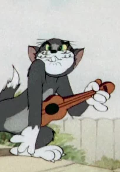 S05:E05 - Wee-Willie Wildcat / The Zoot Cat / Busy Buddies poster