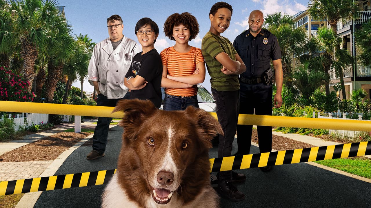Watch Pet Investigators