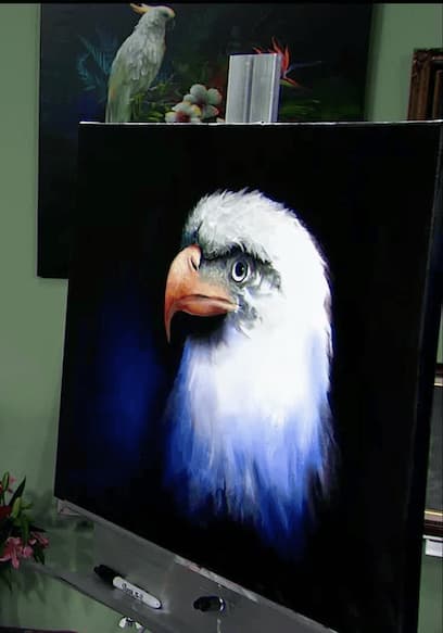 S02:E07 - Majestic Eagle poster