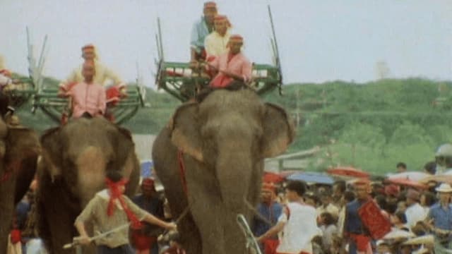 S01:E24 - Nuestra vida espiritual con los animales (Pt. 2)