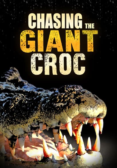 Chasing the Giant Croc