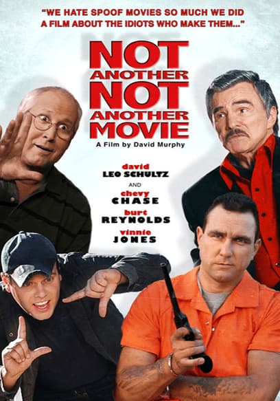 Not Another Not Another Movie