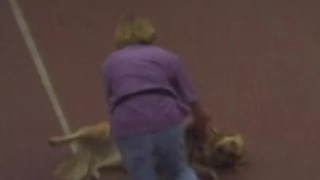 S01:E02 - Episode 02