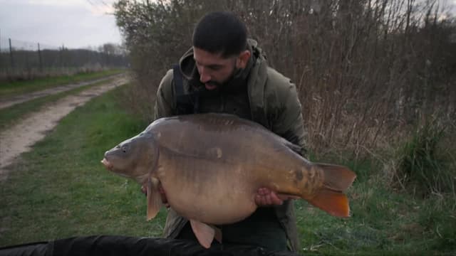 S06:E02 - Reims - France