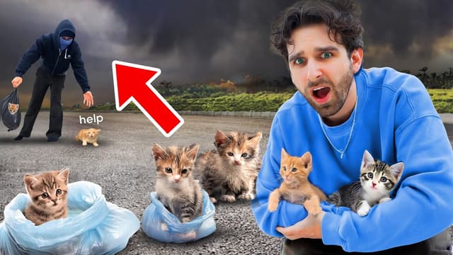 S01:E05 - Abandoned Kittens Found