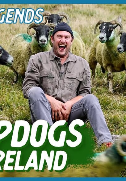 S01:E10 - The Art of Herding Sheep poster
