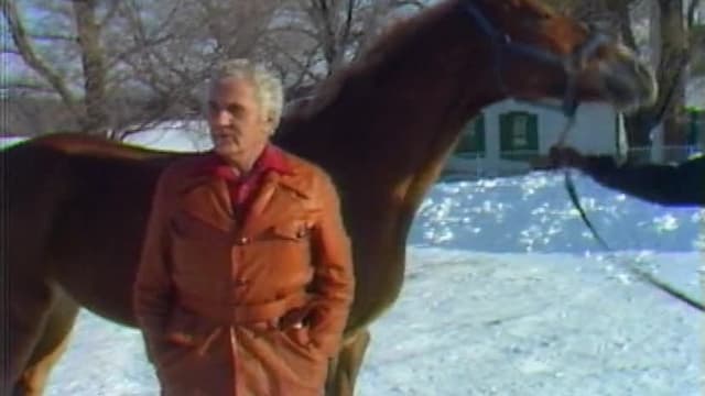 S01:E02 - The Chicago Horse Mafia