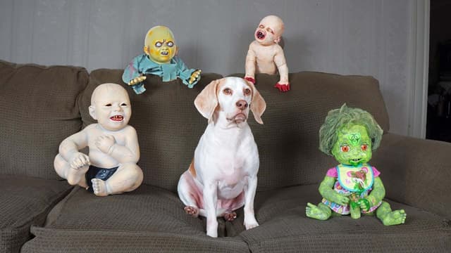 S01:E03 - Dogs, Dinosaurs, and Halloween Pranks