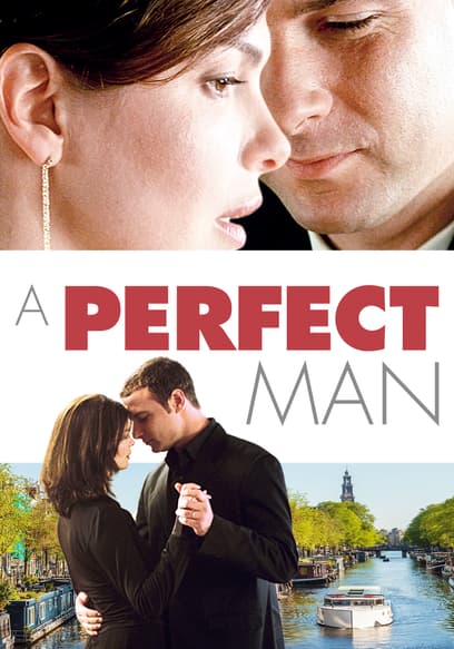 A Perfect Man poster