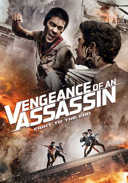Vengeance of an Assassin