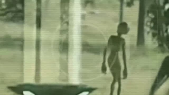 S01:E12 - Episode 12