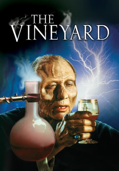 The Vineyard