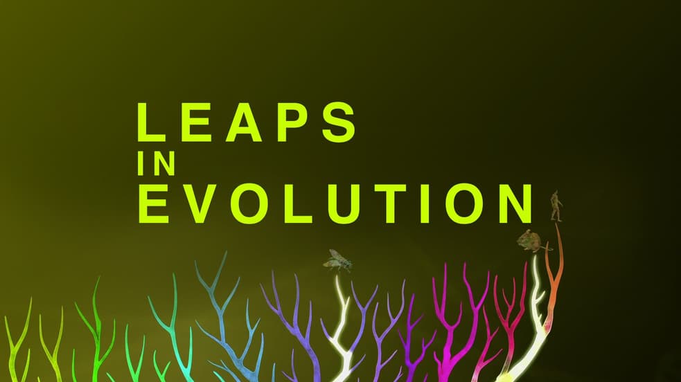 Watch Leaps in Evolution Streaming Online | Tubi Free TV