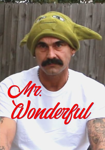Mr. Wonderful