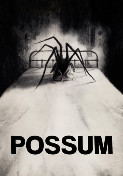 Possum